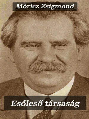 Borító: Esőleső társaság