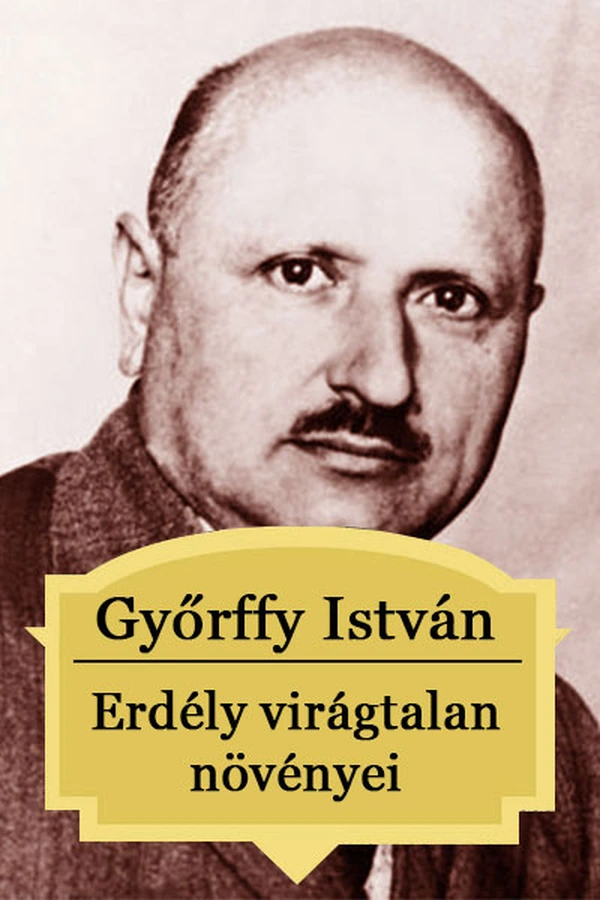 Borító: Erdély virágtalan növényei (Cryptogamae) a kutatás jövőtnéző megvilágításában