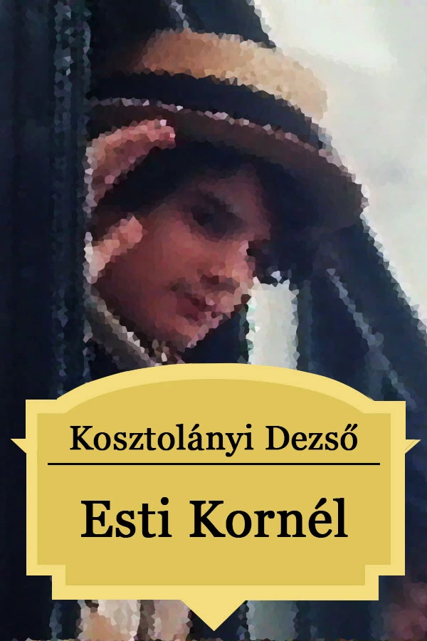Borító: Esti Kornél
