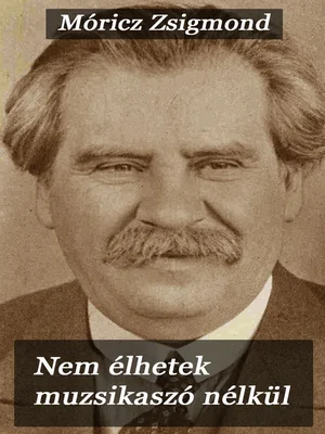 Borító: Nem élhetek muzsikaszó nélkül