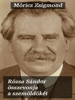 Borító: Rózsa Sándor összevonja a szemöldökét