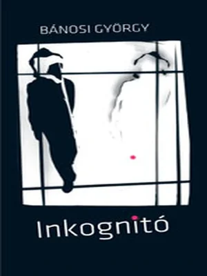 Borító: Inkognitó