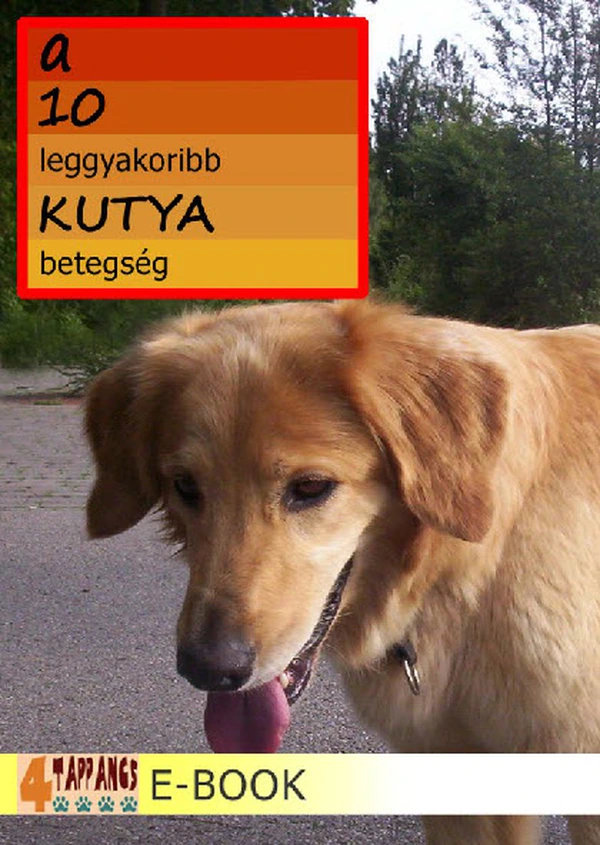 Borító: A 10 leggyakoribb KUTYA betegség
