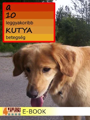 Borító: A 10 leggyakoribb KUTYA betegség