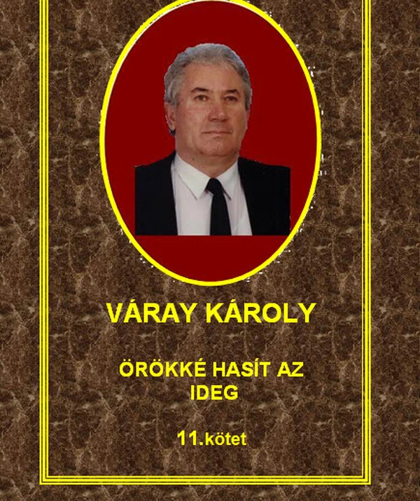 Borító: Örökké hasít az ideg - 11. kötet