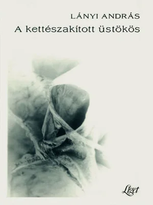 Borító: A kettészakított üstökös