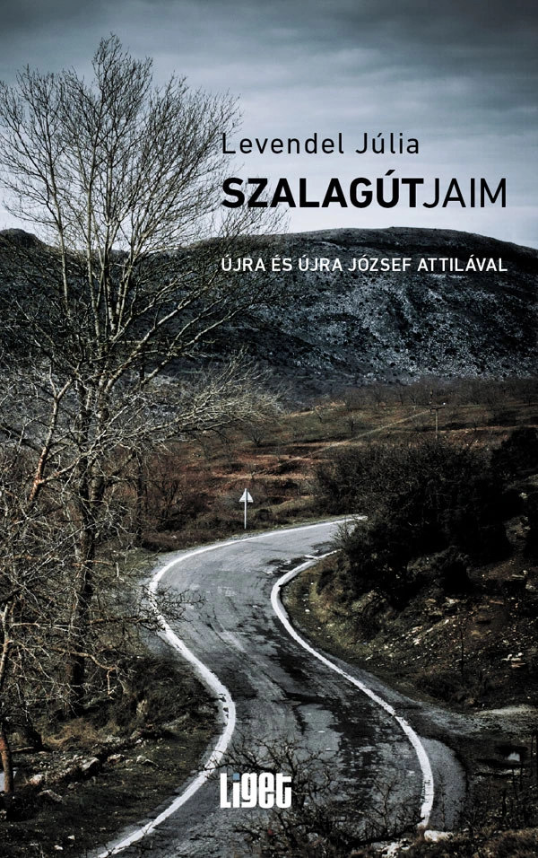 Borító: Szalagútjaim