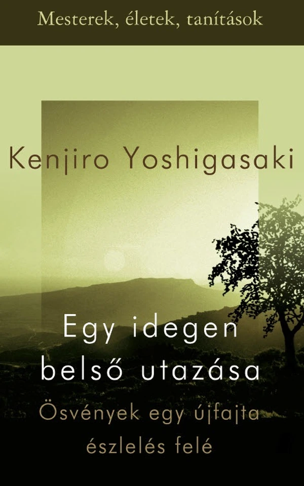 Borító: Egy idegen belső utazása