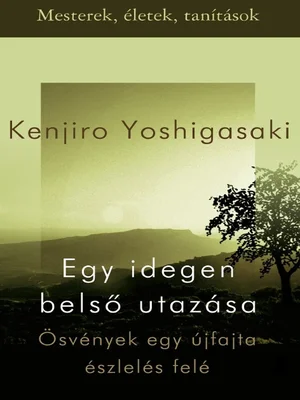 Borító: Egy idegen belső utazása