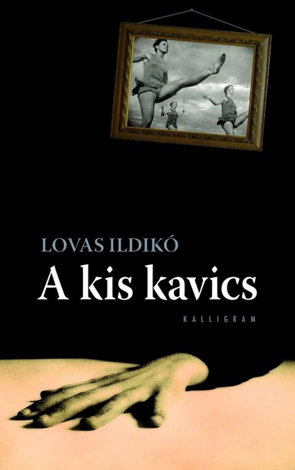 Borító: A kis kavics