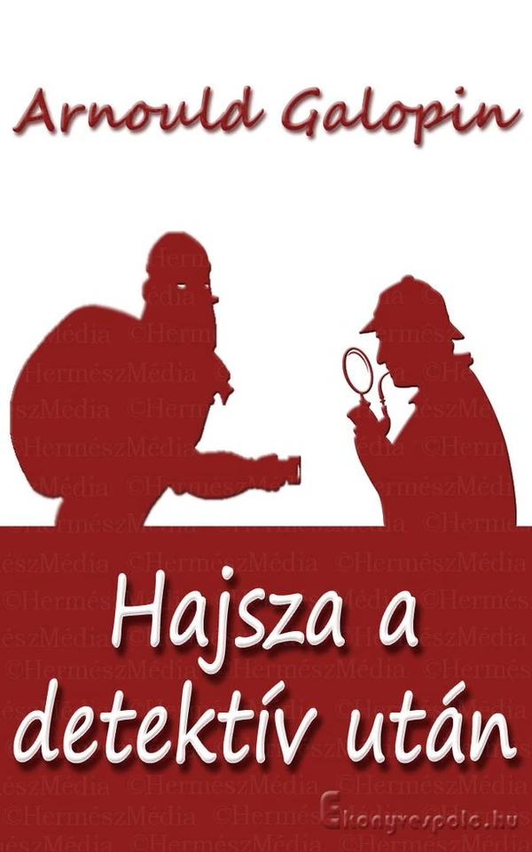 Borító: Hajsza a detektív után