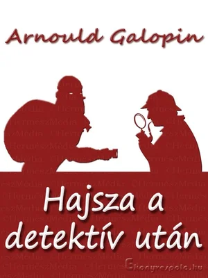 Borító: Hajsza a detektív után