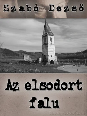 Borító: Az elsodort falu