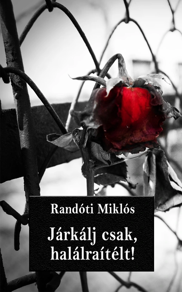 Borító: Járkálj csak, halálraítélt!