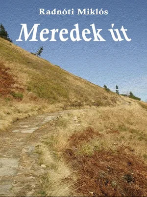 Borító: Meredek út