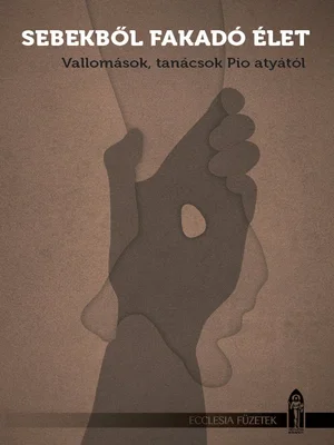 Borító: Sebekből fakadó élet