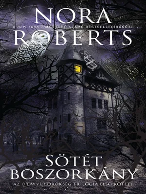 Borító: Sötét boszorkány