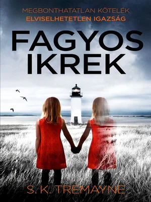 Borító: Fagyos ikrek