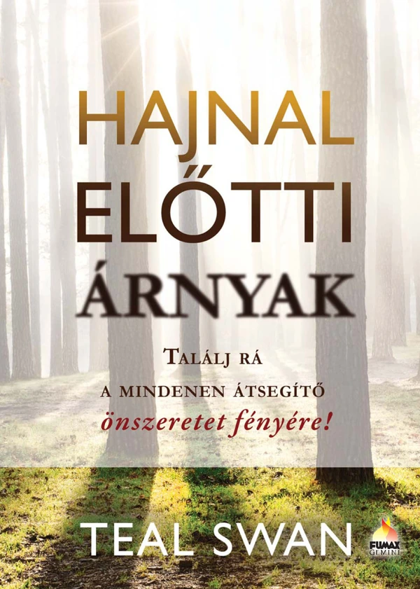 Borító: Hajnal előtti árnyak