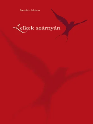 Borító: Lelkek szárnyán