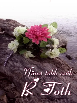 Borító: Nincs több csók