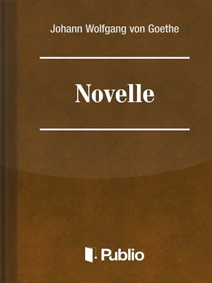 Borító: Novelle