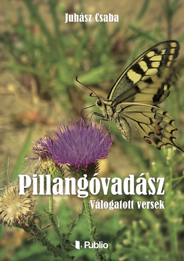 Borító: PILLANGÓVADÁSZ