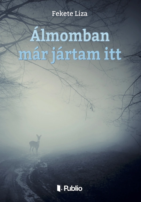 Borító: Álmomban már jártam itt
