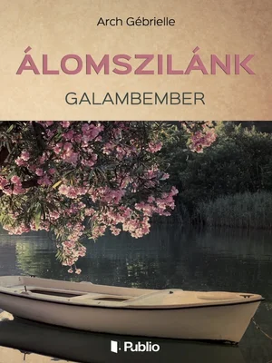 Borító: Álomszilánk