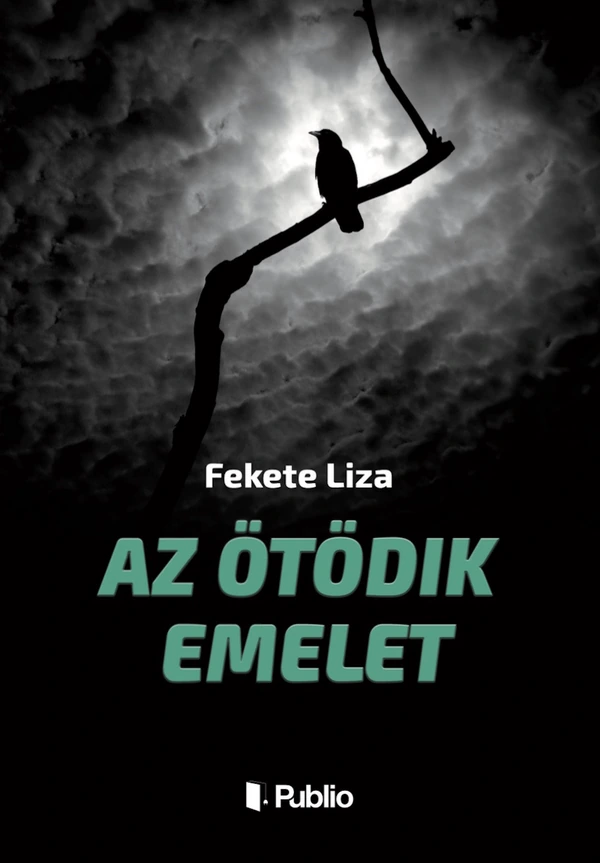 Borító: Az ötödik emelet