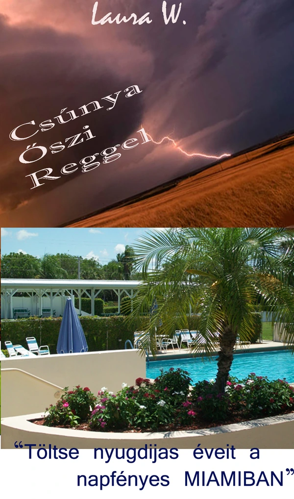 Borító: Csúnya őszi reggel Töltse nyugdíjas éveit a napfényes Miamiban.