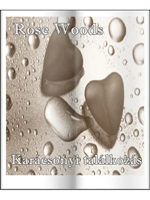 Borító: Karácsonyi találkozás