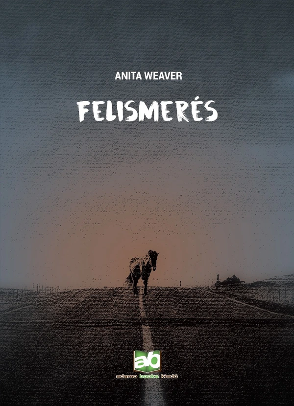 Borító: Felismerés