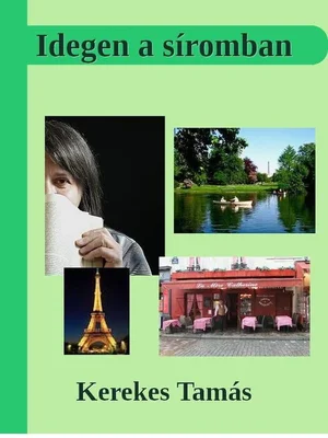 Borító: Idegen a síromban