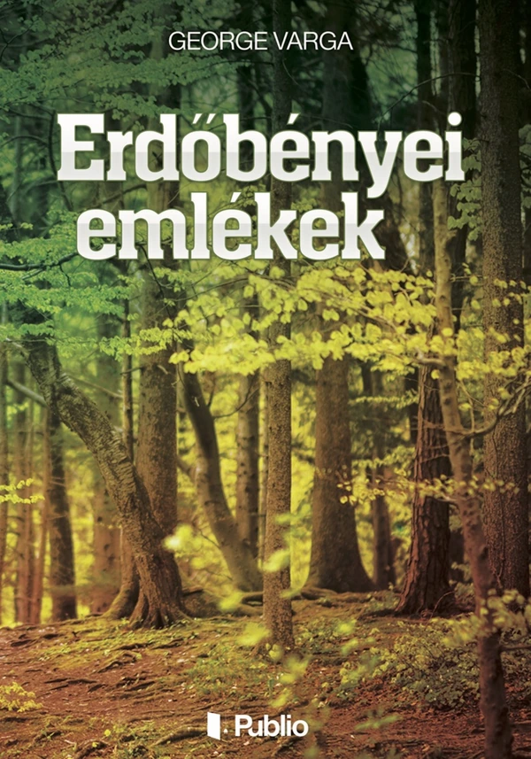 Borító: Erdőbényei emlékek
