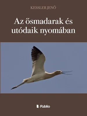 Borító: Az ősmadarak és utódaik nyomában