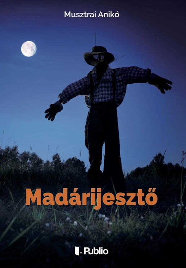 Borító: Madárijesztő