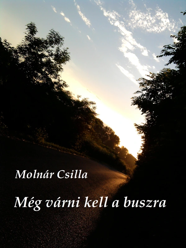 Borító: Még várni kell a buszra