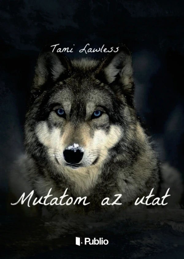 Borító: Mutatom az utat