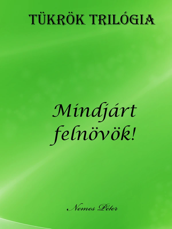 Borító: Tükrök trilógia 3.