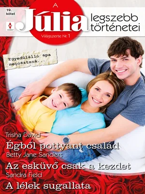 Borító: A Júlia legszebb történetei 19. kötet (Egyedülálló apa megosztaná…)