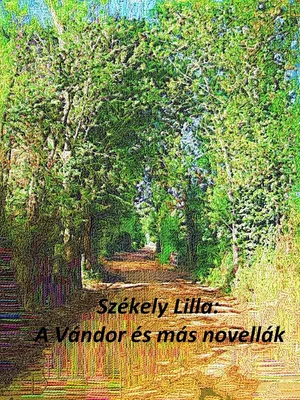 Borító: A vándor és más novellák