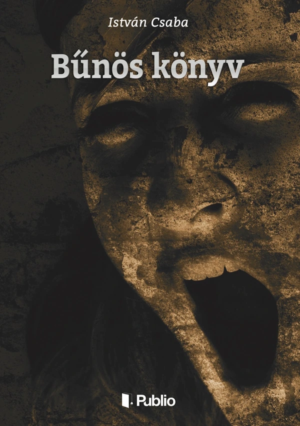 Borító: Bűnös könyv