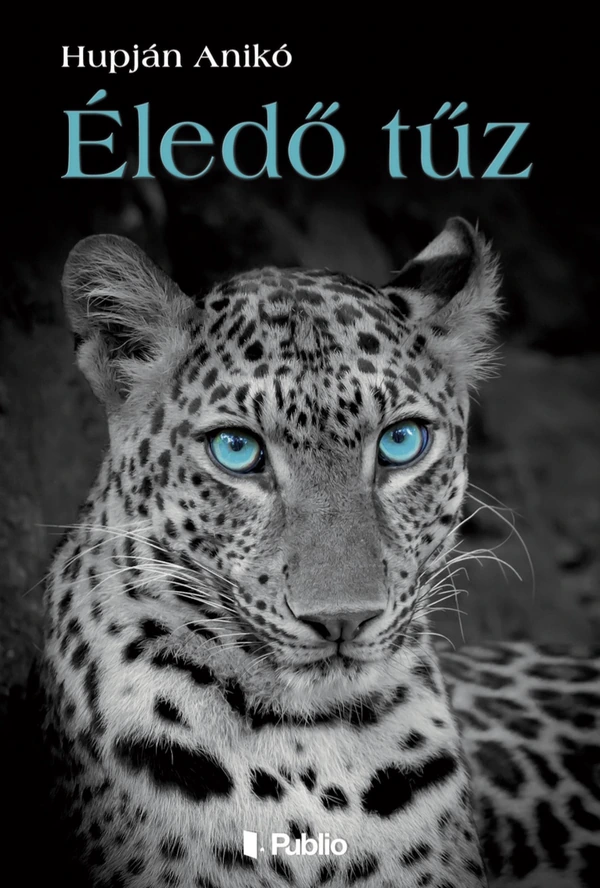 Borító: Éledő tűz