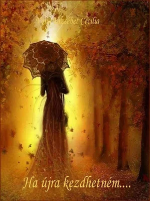 Borító: Ha újra kezdhetném