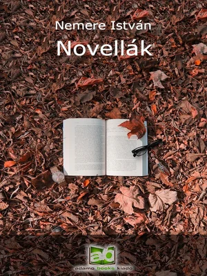 Borító: Novellák