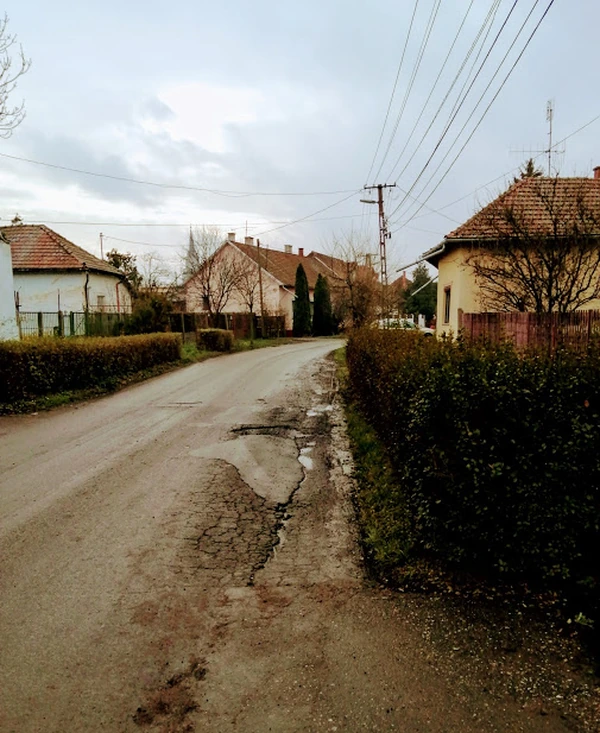 Borító: Új fiú költözött az utcába