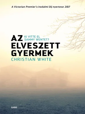 Borító: Az elveszett gyermek