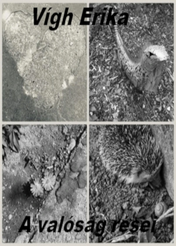 Borító: A valóság rései