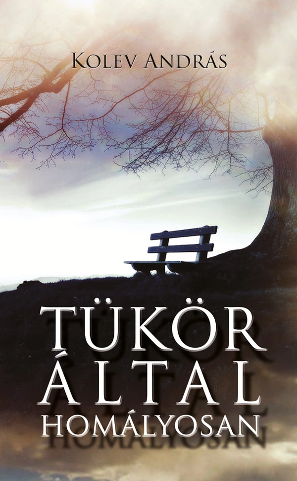 Borító: Tükör által homályosan